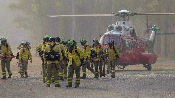 Из-за лесных пожаров в Испании эвакуировано 11 сел