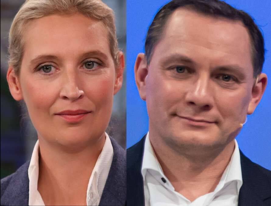 Немецкие ультраправые выбрали новых лидеров