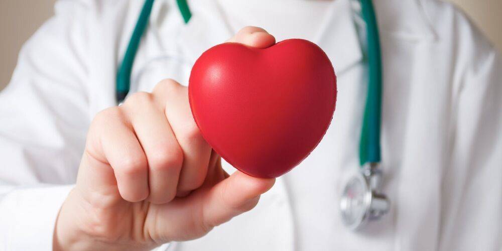 Всего за месяц. Ученые нашли способ полностью восстановить работу сердца после инфаркта