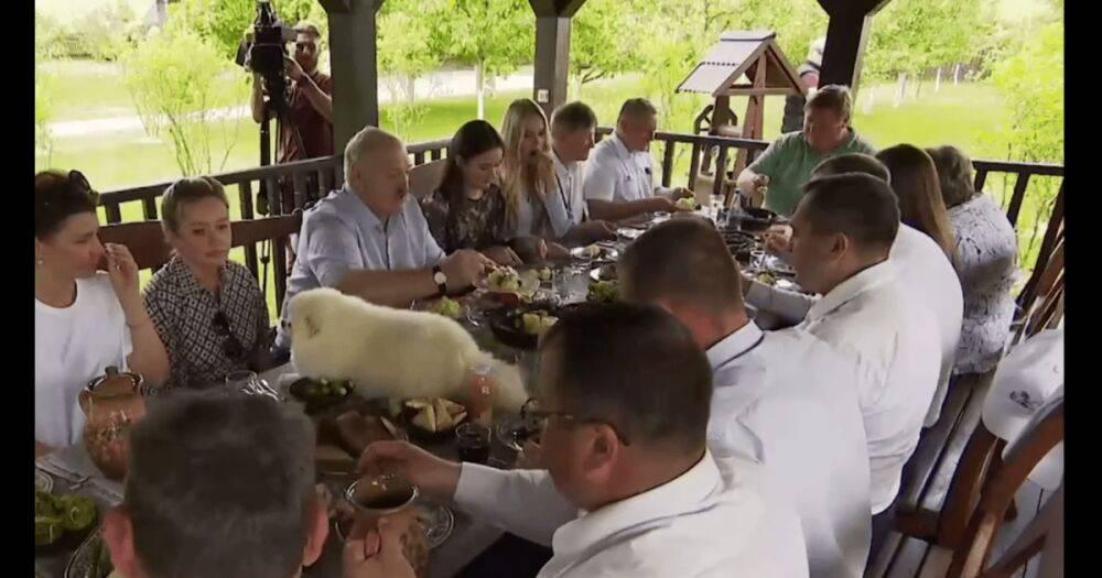 Собака Лукашенко вылезла на стол во время обеда с губернаторами в честь дня урожая (видео)