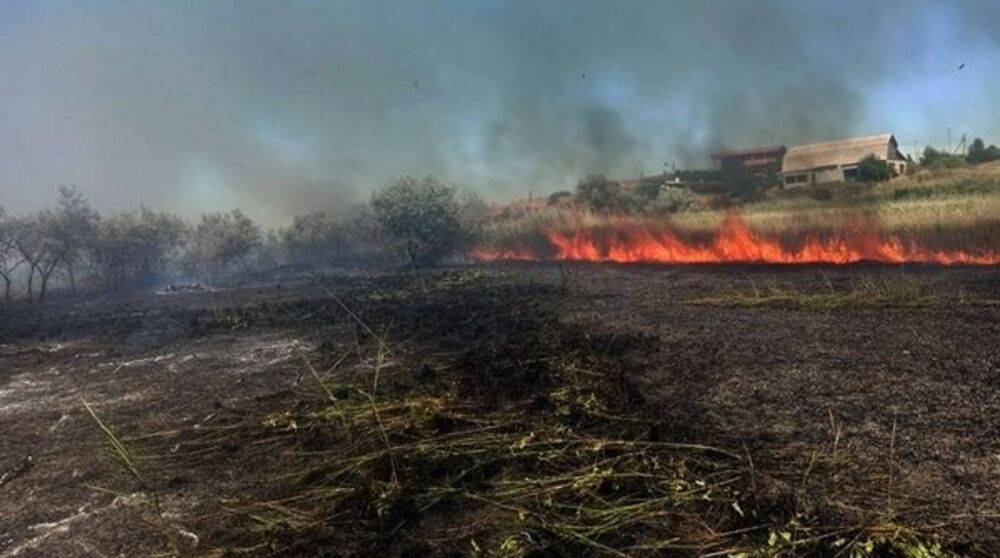 На Николаевщине за минувшие сутки сгорело более 80 га пшеницы из-за российских обстрелов