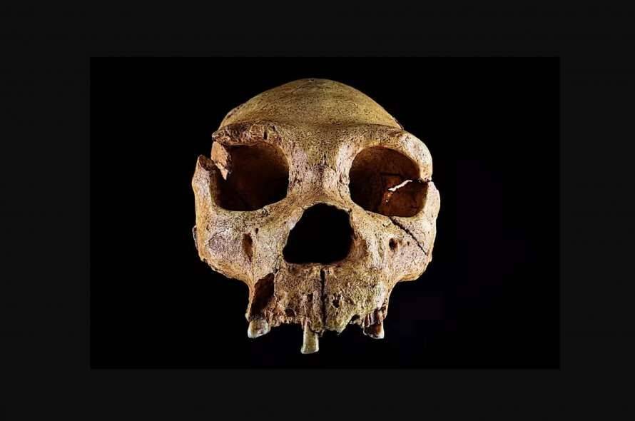Археологи раскопали 600 000-летние свидетельства первых жителей Британии (Фото)