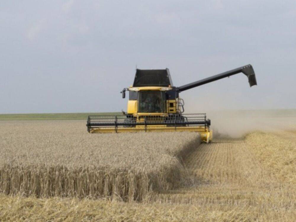 Страны G7 пообещали не вводить санкции против российской сельхозпродукции
