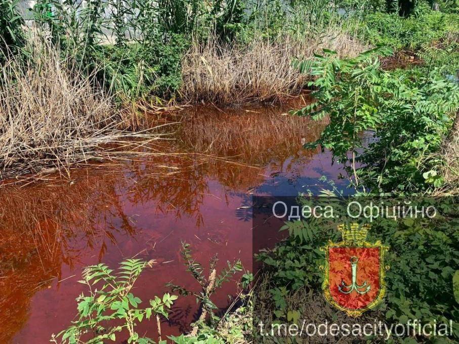 Куяльницкая канава стала ярко-красной – в воде нашли неизвестное вещество (фото)