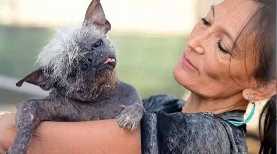Самую уродливую собаку в мире выбрали в США (фото)