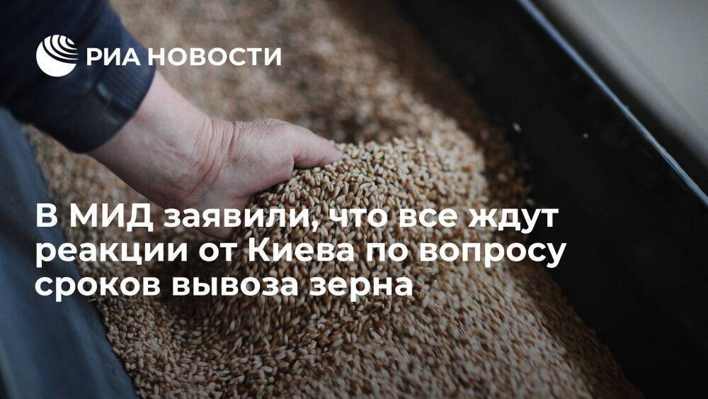 Глава департамента МИД Полищук: ждем реакции от Киева по вопросу сроков вывоза зерна