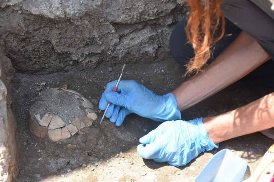 Археологи обнаружили в Помпеях черепаху и яйцо (Фото)