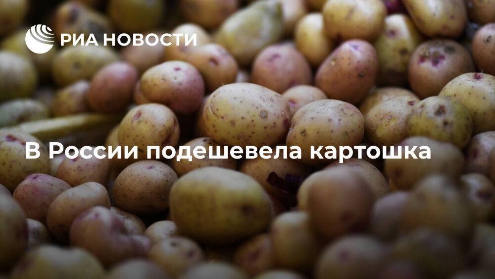 Росстат: в России с 18 по 24 июня картошка подешевела на 5,69 процента