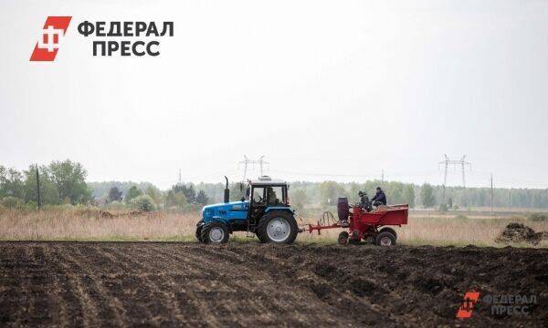 Аграрии смогут арендовать пахотные земли Среднего Урала за один рубль