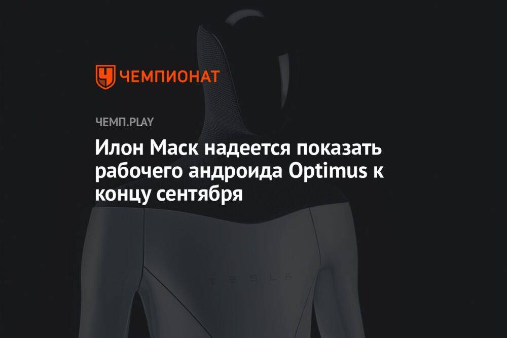 Илон Маск надеется показать рабочего андроида Optimus к концу сентября
