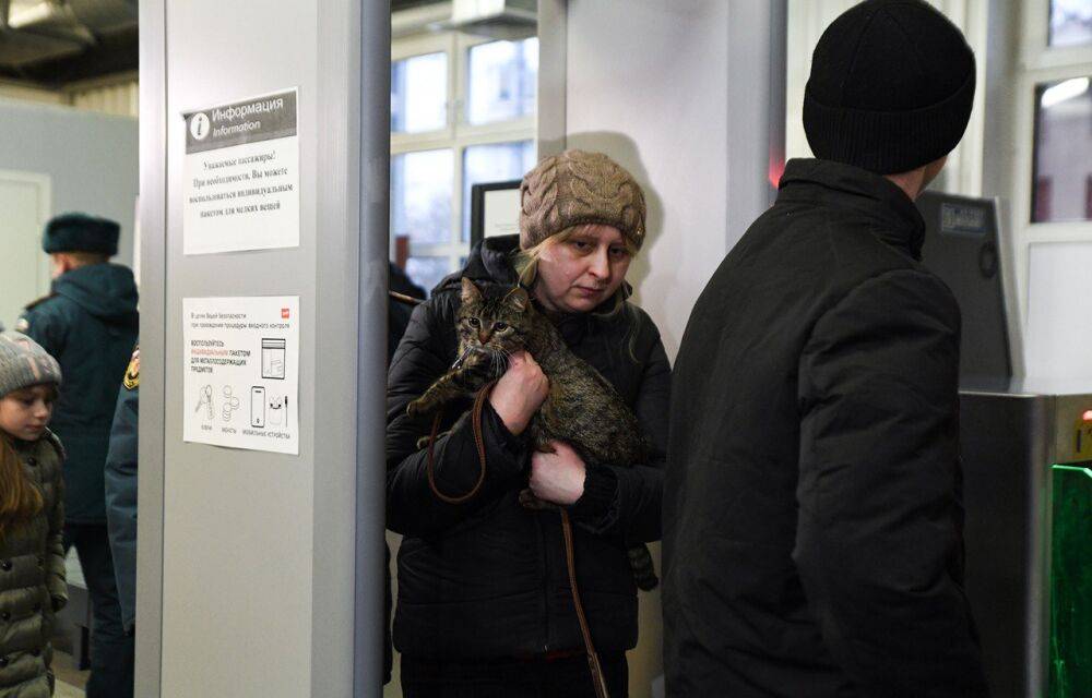 Украинцы и жители ЛДНР смогут остаться на территории РФ после истечения срока временного пребывания
