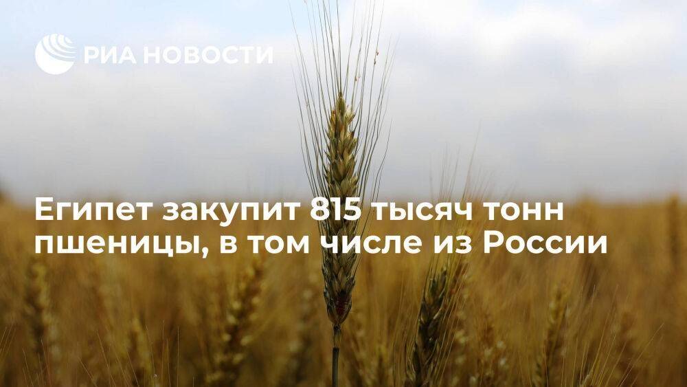 GASC: Египет по итогам тендера закупит 815 тысяч тонн пшеницы, в том числе из России