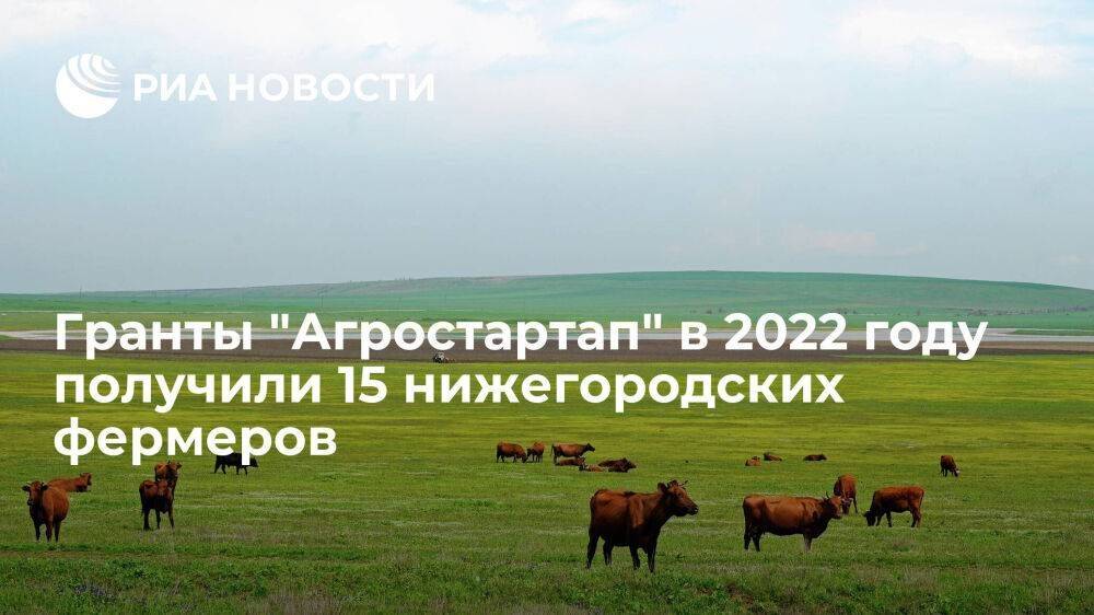 Гранты "Агростартап" в 2022 году получили 15 нижегородских фермеров
