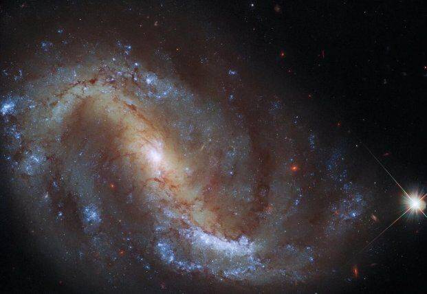 Расстояние в 24 млн световых лет от Земли: телескоп Хаббл сфотографировал галактику в созвездии Журавля (фото)
