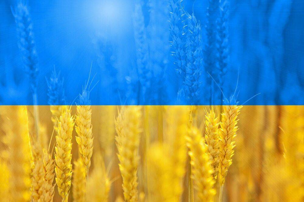 Россия провоцирует продовольственный кризис: уничтожено зернохранилище в Николаеве