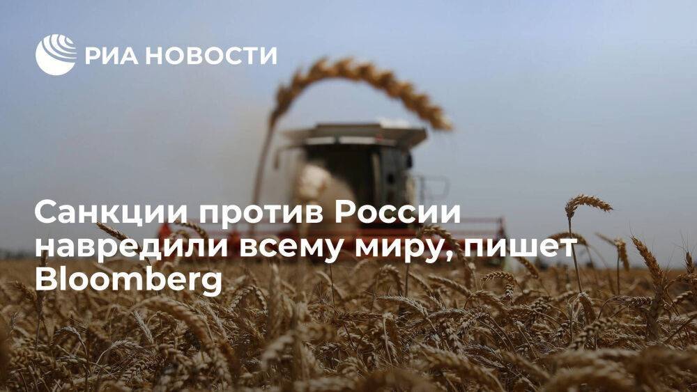 Bloomberg: санкции против России оказались неэффективными и спровоцировали мировой голод
