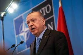 Эрдоган заявил о панике в Европе