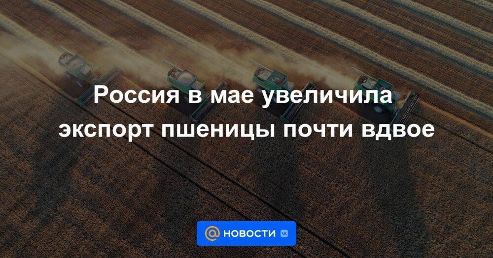 Россия в мае увеличила экспорт пшеницы почти вдвое