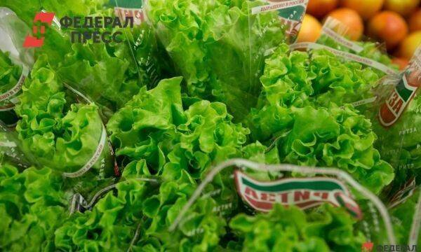 Новосибирская область накормит всю Сибирь салатом