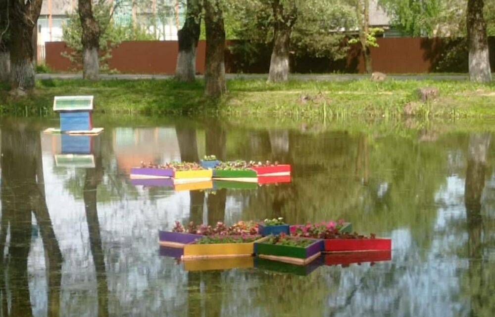 На пруду в Оленино Тверской области появились плавающие клумбы