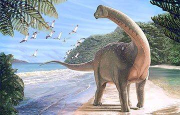 Ученые показали, как выглядит окаменелый пупок динозавра