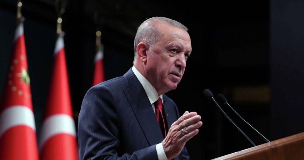 В Турции готовят телефонный разговор Зеленского и Путина, – Эрдоган