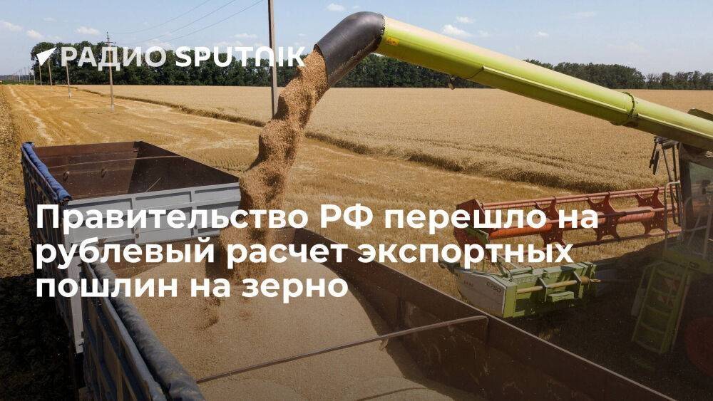 Правительство РФ установило рублевый показатель базовой экспортной цены пшеницы и ряда других товаров