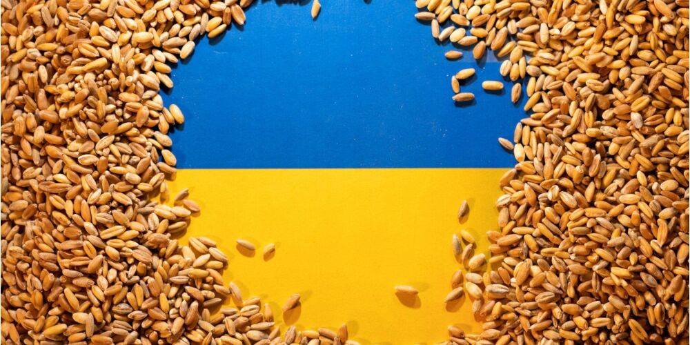 Россия привезла украденное украинское зерно из Бердянска в Турцию. Киев требует его изъять