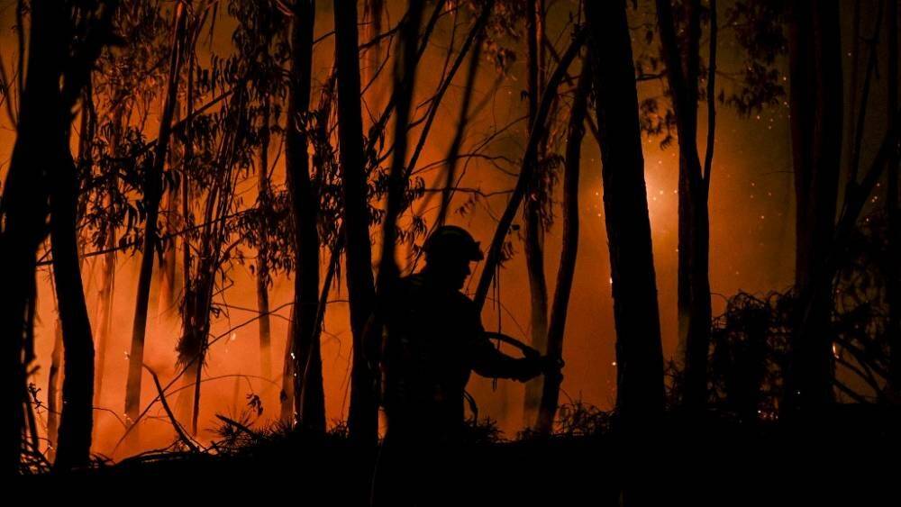 Лесные пожары в Португалии: минимум 32 человека пострадали