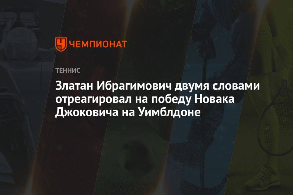 Златан Ибрагимович двумя словами отреагировал на победу Новака Джоковича на Уимблдоне