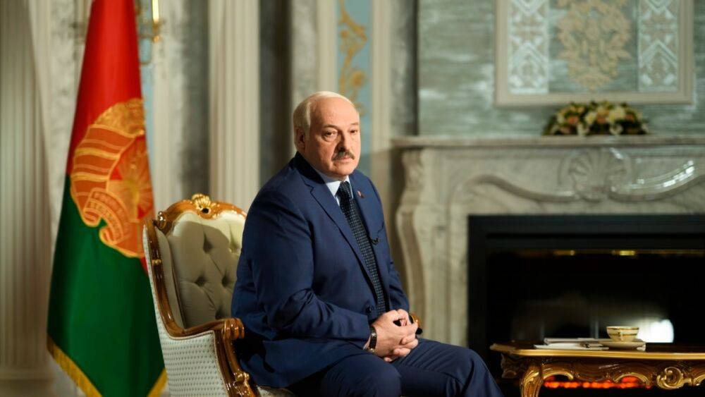 Жителя Бобруйска приговорили к 4,5 годам тюрьмы за "тиктоки" о Лукашенко