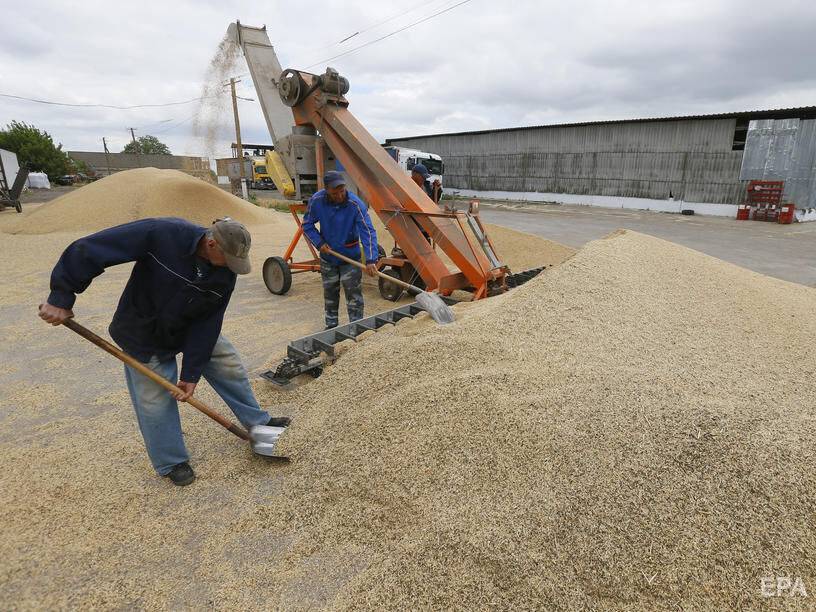 Оккупанты в Запорожской области установили закупочные цены на зерно и пытаются его вывозить. Руководит бывший нардеп от "Оппоблока" Балицкий – разведка