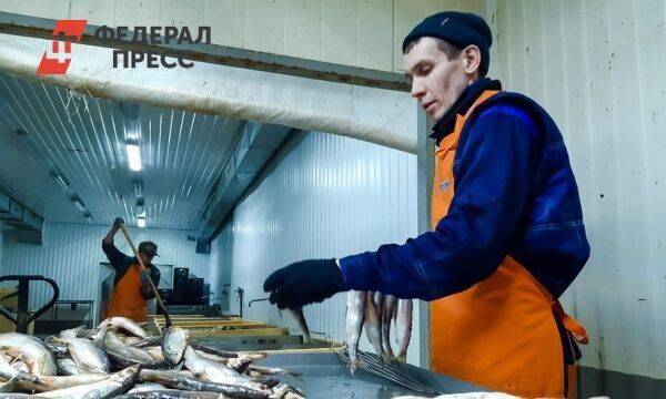 Обеспечивал всю сеть «Макдоналдс»: в России закрывается крупный рыбный завод