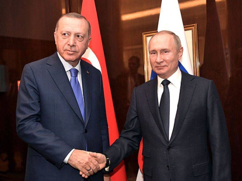 Эрдоган призвал Путина решить «зерновую проблему» и продолжить мирные переговоры с Украиной