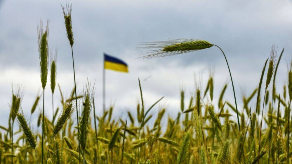В Турции 13 июля пройдёт встреча по вопросу экспорта зерна из Украины