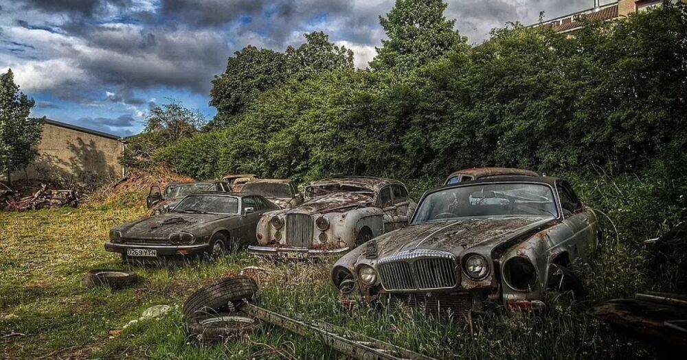 На заброшенном пустыре обнаружили кладбище редких британских ретро-авто (фото)