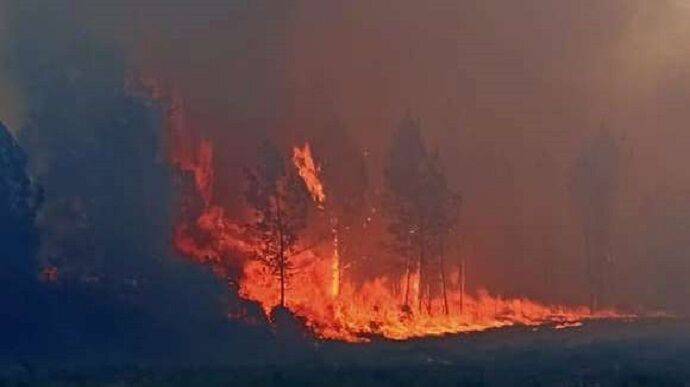 Францию охватили лесные пожары, выгорело 600 га