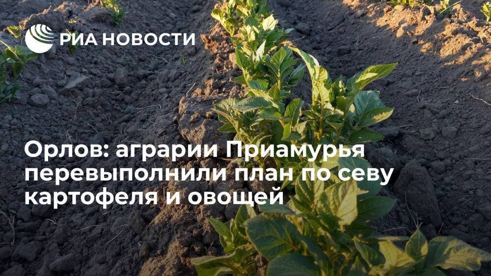 Губернатор Приамурья Орлов: аграрии региона перевыполнили план по севу картофеля и овощей