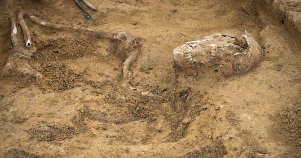 Археологи нашли редкие останки на поле битвы под Ватерлоо (фото)