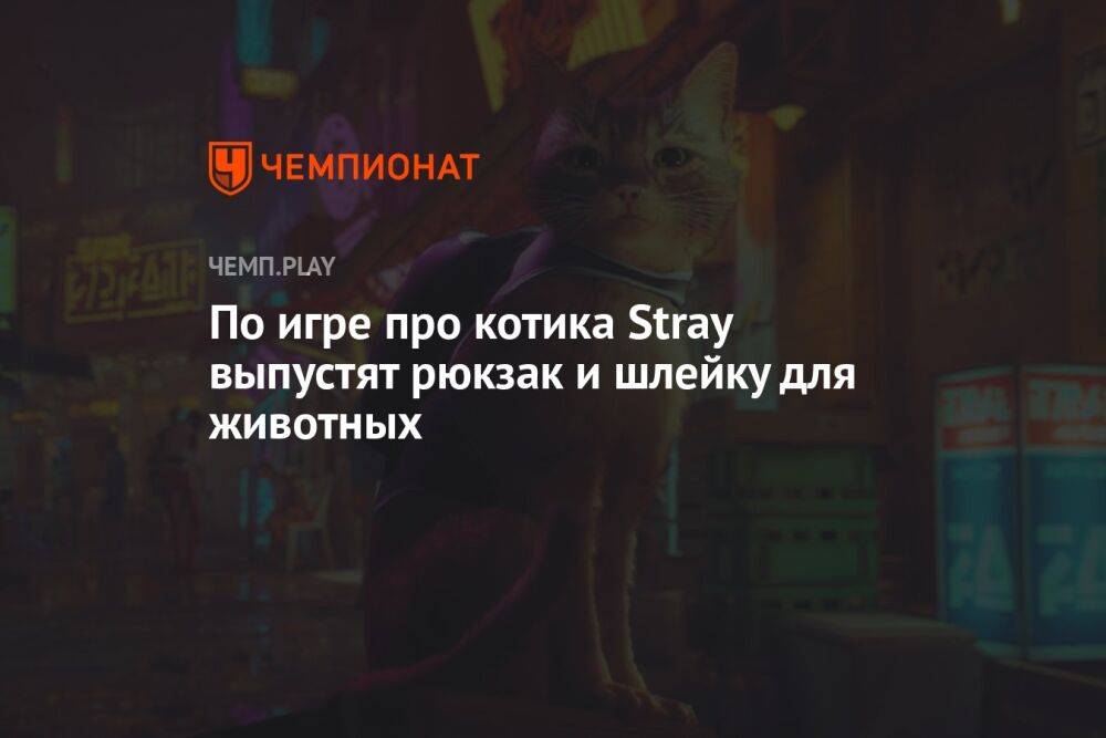 По игре про котика Stray выпустят рюкзак и шлейку для животных