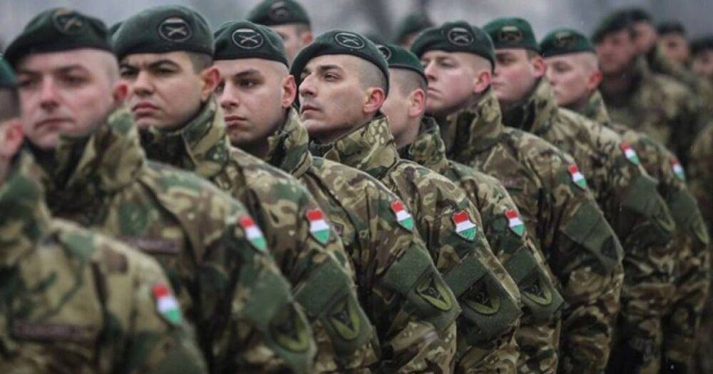 В Венгрии допустили, что могут вступить в войну в Украине "для защиты венгров" на Закарпатье