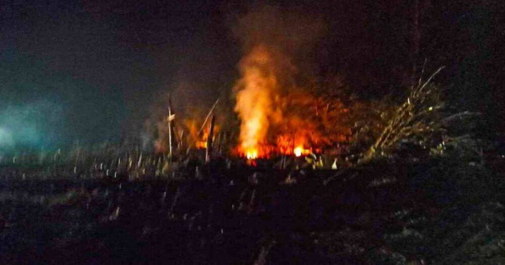 Разбившийся в Греции самолет Ан перевозил оружие в Бангладеш: на борту погибли 8 украинцев