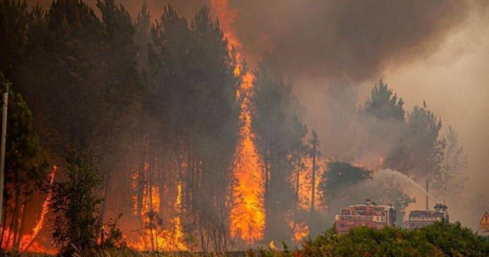 Францию и Испанию охватили масштабные лесные пожары: тысячи эвакуированных (ФОТО)