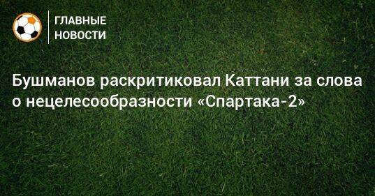Бушманов раскритиковал Каттани за слова о нецелесообразности «Спартака-2»