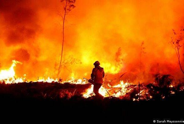 В Португалии от жары горят тысячи гектаров лесов