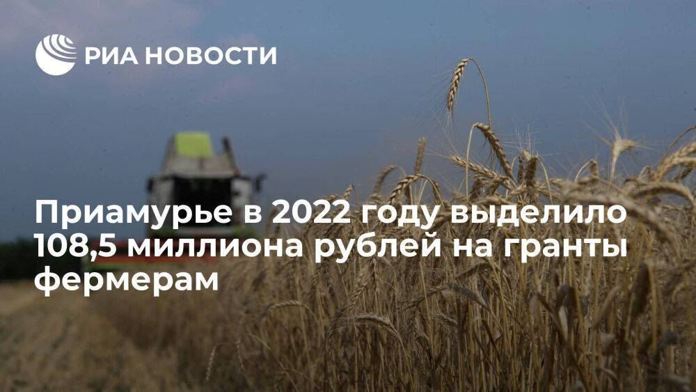 Амурская область в 2022 году выделила 108,5 миллиона рублей на гранты фермерам