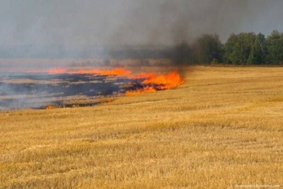 Ворог обстрілює Дергачівщину фосфором, горять поля озимої пшениці — Задоренко