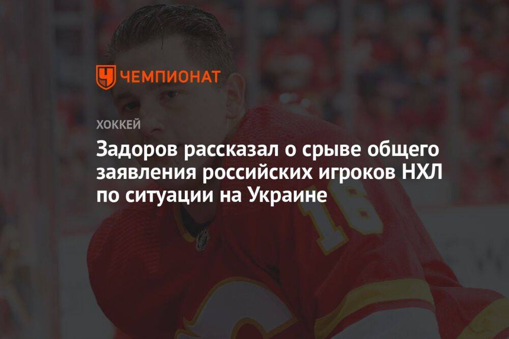 Задоров рассказал о срыве общего заявления российских игроков НХЛ по ситуации на Украине