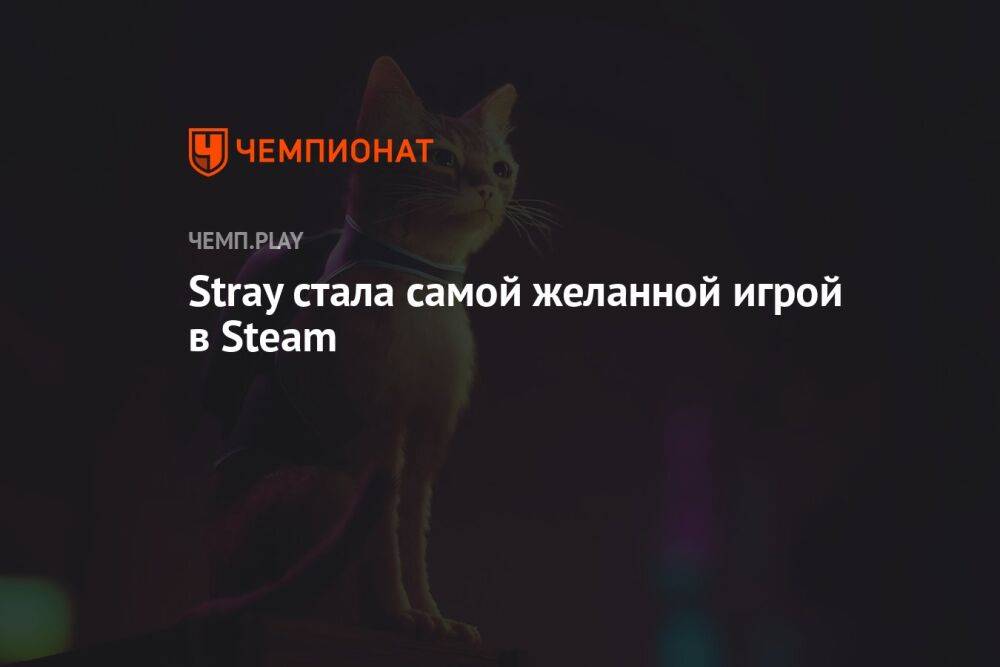 Stray стала самой желанной игрой в Steam