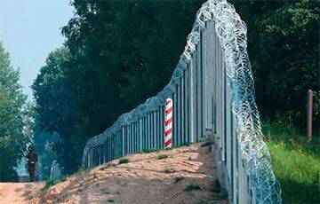 Отгородиться от сумасшедшего диктатора: как выглядит построенная Польшей стена на границе с Беларусью